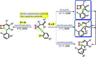 Graphical abstract: Divergent reaction pathways in gold-catalyzed cycloisomerization of 1,5-enynes containing a cyclopropane ring: dramatic ortho substituent and temperature effects