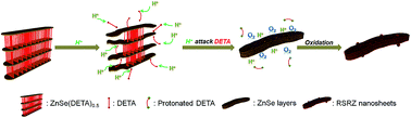 Graphical abstract: A general chemical transformation route to two-dimensional mesoporous metal selenide nanomaterials by acidification of a ZnSe–amine lamellar hybrid at room temperature