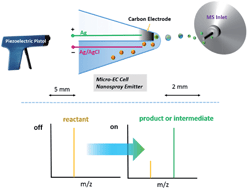 Graphical abstract: Mass spectrometric snapshots for electrochemical reactions