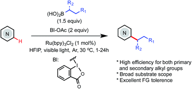 Graphical abstract: Photoredox-mediated Minisci C–H alkylation of N-heteroarenes using boronic acids and hypervalent iodine