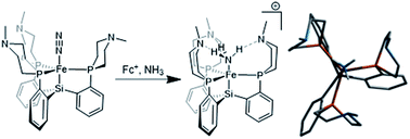 Graphical abstract: Exploring secondary-sphere interactions in Fe–NxHy complexes relevant to N2 fixation