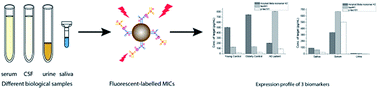 Graphical abstract: Ultra-sensitive detection of protein biomarkers for diagnosis of Alzheimer’s disease