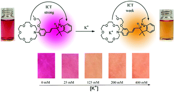 Graphical abstract: A highly selective, colorimetric, and environment-sensitive optical potassium ion sensor