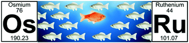 Graphical abstract: Going against the flow: Os(ii)-to-Ru(ii) energy transfer in rod-like polypyridyl chromophore