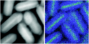 Graphical abstract: High-temperature growth of thick-shell CdSe/CdS core/shell nanoplatelets