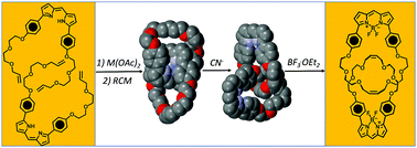 Graphical abstract: Synthesis of an F-BODIPY [2]catenane using the chemistry of bis(dipyrrinato)metal complexes