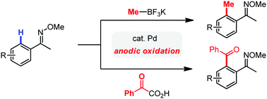 Graphical abstract: Palladium-catalyzed C–H activation/C–C cross-coupling reactions via electrochemistry