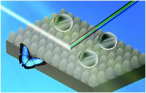 Graphical abstract: Biomimetic superwettable materials with structural colours