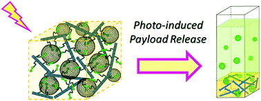Graphical abstract: Hierarchical supramolecular hydrogels: self-assembly by peptides and photo-controlled release via host–guest interaction