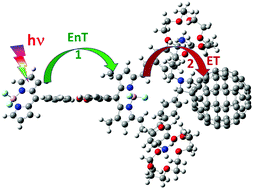Graphical abstract: Sequential energy transfer followed by electron transfer in a BODIPY–bisstyrylBODIPY bound to C60 triad via a ‘two-point’ binding strategy