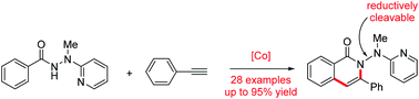 Graphical abstract: 2-(1-Methylhydrazinyl)pyridine as a reductively removable directing group in a cobalt-catalyzed C(sp2)–H bond alkenylation/annulation cascade