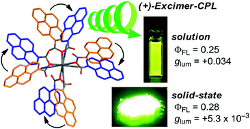 Graphical abstract: Intense excimer CPL of pyrenes linked to a quaternaphthyl