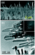 Graphical abstract: Realizing single-crystalline vertically-oriented and high-density electrospun nanofibril bundles by controlled postcalcination
