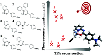 Graphical abstract: Two-photon absorption of BF2-carrying compounds: insights from theory and experiment
