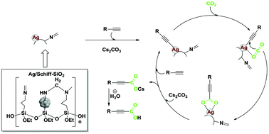 Graphical abstract: A Schiff base-modified silver catalyst for efficient fixation of CO2 as carboxylic acid at ambient pressure