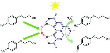 Graphical abstract: Carbon nitride assisted chemoselective C–H bond photo-oxidation of alkylphenolethoxylates in water medium