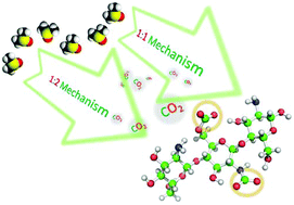 Graphical abstract: Chemisorption of CO2 by chitosan oligosaccharide/DMSO: organic carbamato–carbonato bond formation