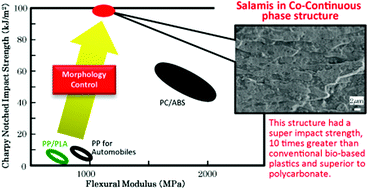Graphical abstract: Super impact absorbing bio-alloys from inedible plants