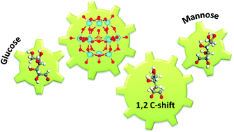 Graphical abstract: A mechanism for the selective epimerization of the glucose mannose pair by Mo-based compounds: towards catalyst optimization