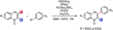 Graphical abstract: Efficient synthesis of polymethoxyselenoflavones via regioselective direct C–H arylation of selenochromones