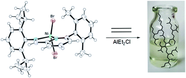 Graphical abstract: Synthesis of hyperbranched low molecular weight polyethylene oils by an iminopyridine nickel(ii) catalyst
