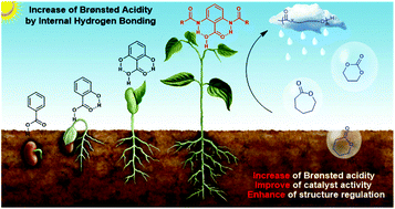 Graphical abstract: Tunable intramolecular H-bonding promotes benzoic acid activity in polymerization: inspiration from nature
