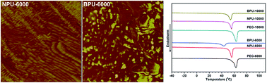 Graphical abstract: The influence of hydrogen bonding on N-methyldiethanolamine-extended polyurethane solid–solid phase change materials for energy storage