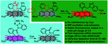 Graphical abstract: Selective and sensitive visualization of endogenous nitric oxide in living cells and animals by a Si-rhodamine deoxylactam-based near-infrared fluorescent probe