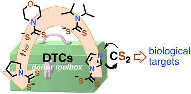 Graphical abstract: Uncaging carbon disulfide. Delivery platforms for potential pharmacological applications: a mechanistic approach
