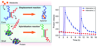 Graphical abstract: Displacement and hybridization reactions in aptamer-functionalized hydrogels for biomimetic protein release and signal transduction
