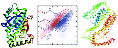 Graphical abstract: Examining the role of protein structural dynamics in drug resistance in Mycobacterium tuberculosis