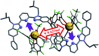 Graphical abstract: Cooperative loading of multisite receptors with lanthanide containers: an approach for organized luminescent metallopolymers