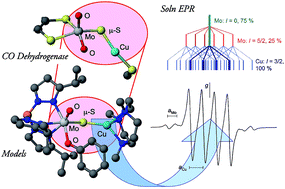 Graphical abstract: Models for aerobic carbon monoxide dehydrogenase: synthesis, characterization and reactivity of paramagnetic MoVO(μ-S)CuI complexes