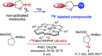 Graphical abstract: Site-selective 18F fluorination of unactivated C–H bonds mediated by a manganese porphyrin