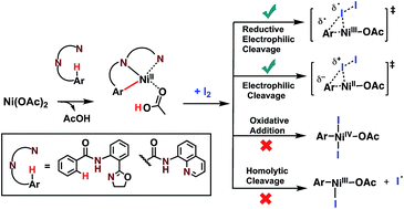 Graphical abstract: The mechanism of directed Ni(ii)-catalyzed C–H iodination with molecular iodine