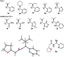 Graphical abstract: Stereoselective construction of sterically hindered oxaspirocycles via chiral bidentate directing group-mediated C(sp3)–O bond formation