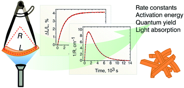 Graphical abstract: Quantification of photoinduced bending of dynamic molecular crystals: from macroscopic strain to kinetic constants and activation energies