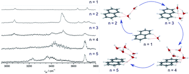 Graphical abstract: Microhydration of PAH+ cations: evolution of hydration network in naphthalene+-(H2O)n clusters (n ≤ 5)