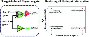 Graphical abstract: A target-induced logically reversible logic gate for intelligent and rapid detection of pathogenic bacterial genes