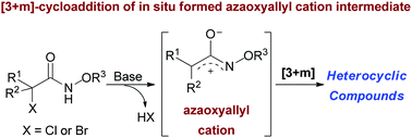 Graphical abstract: Advances in heterocycle synthesis via [3+m]-cycloaddition reactions involving an azaoxyallyl cation as the key intermediate