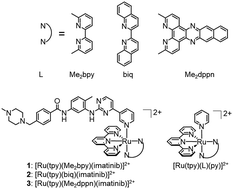 Graphical abstract: Photoactivation of imatinib–antibody conjugate using low-energy visible light from Ru(ii)-polypyridyl cages