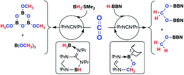 Graphical abstract: Carbodiimides as catalysts for the reduction of CO2 with boranes