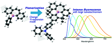 Graphical abstract: A planarized B-phenyldibenzoborepin: impact of structural constraint on its electronic properties and Lewis acidity
