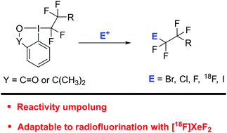 Graphical abstract: Unexpected reactivity of cyclic perfluorinated iodanes with electrophiles