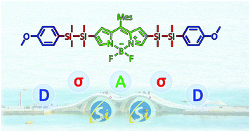 Graphical abstract: Disilanylene-bridged BODIPY-based D–σ–A architectures: a novel promising series of NLO chromophores