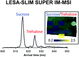Graphical abstract: Towards resolving the spatial metabolome with unambiguous molecular annotations in complex biological systems by coupling mass spectrometry imaging with structures for lossless ion manipulations