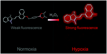 Graphical abstract: Selectively light-up hydrogen peroxide in hypoxic cancer cells with a novel fluorescent probe
