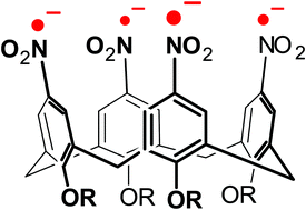 Graphical abstract: The cone-tetranitrocalix[4]arene tetraradical tetraanion as an electrochemically generated ligand for heavier alkali metal cations