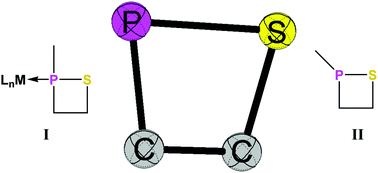 Graphical abstract: Synthesis of free and ligated 1,2-thiaphosphetanes – expanding the pool of strained P-ligands