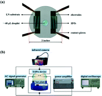 Graphical abstract: Surface acoustic wave (SAW)-induced synthesis of HKUST-1 with different morphologies and sizes